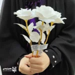تندیس گل رز جاودان - Image 3