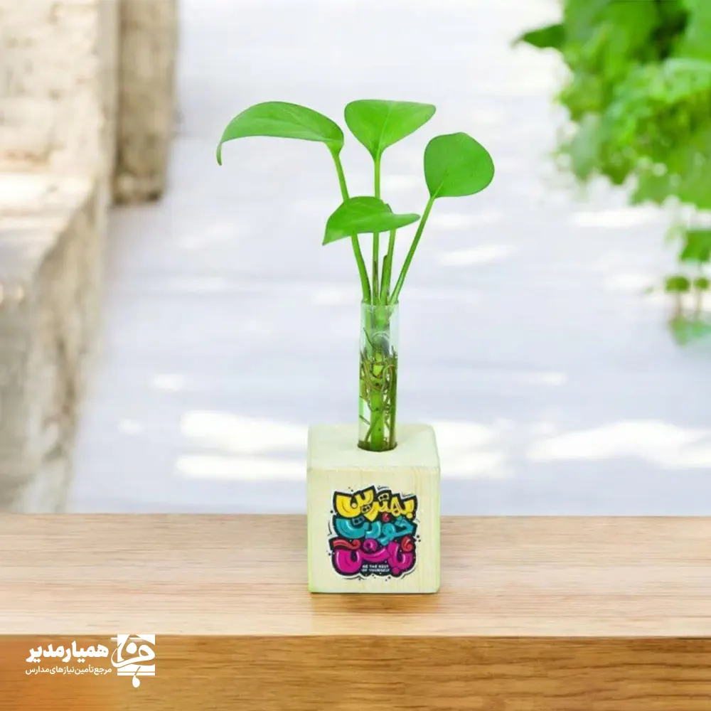 H0748 گلدان چوبی بهترین خودت باش - Image 1