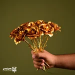 گل رز طلایی