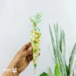 سلفون فانتزی قیفی - Image 4