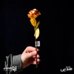 گل رز - Image 12