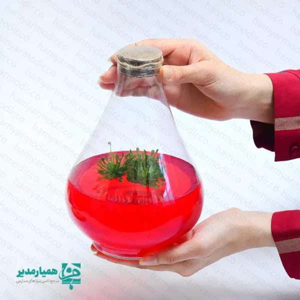 🌿 گلشیشه طاووس | اکوسیستمی کوچک، خاطره‌ای بزرگ 🌿 گلشیشه طاووس یکی از خاص‌ترین محصولات نوروزی کیمیا هنر است؛ هدیه‌ای متفاوت از جنس طبیعت که با طراحی هنرمندانه و مفهوم علمی، به انتخابی ماندگار برای هدایای پایان سال تبدیل شده است. این محصول یک اکوسیستم کوچک واقعی است؛ گیاهی طبیعی که در محیطی کاملاً استریل آزمایشگاهی و درون ژل پرورش یافته و بدون نیاز به آبیاری، برای مدت طولانی شاداب و سالم باقی می‌ماند. با ابعاد ۲۲ × ۱۵ سانتی‌متر و وزن تقریبی 550 گرم، گلشیشه طاووس جلوه‌ای چشمگیر روی میز کار، کتابخانه یا فضای آموزشی ایجاد می‌کند و هدیه‌ای شایسته برای اساتید، مراکز فرهنگی و دانش‌آموزان مقطع متوسطه اول و دوم به شمار می‌آید. شرایط نگهداری: • نور مناسب و کافی؛ نور مصنوعی نیز قابل قبول است • دمای محیط بین ۲۴ تا ۲۷ درجه سانتی‌گراد • ⚠️ درب محصول به هیچ عنوان باز نشود؛ باز شدن در باعث آلودگی سریع محیط داخلی و آسیب به گیاه می‌شود. گلشیشه طاووس، هدیه‌ای است که کیمیا هنر با آن برای مدرسه و مجموعه شما، خاطره‌ای قشنگ و ماندگار می‌سازد؛ ترکیبی از علم، هنر و طبیعت.