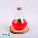 🌿 گلشیشه طاووس | اکوسیستمی کوچک، خاطره‌ای بزرگ 🌿 گلشیشه طاووس یکی از خاص‌ترین محصولات نوروزی کیمیا هنر است؛ هدیه‌ای متفاوت از جنس طبیعت که با طراحی هنرمندانه و مفهوم علمی، به انتخابی ماندگار برای هدایای پایان سال تبدیل شده است. این محصول یک اکوسیستم کوچک واقعی است؛ گیاهی طبیعی که در محیطی کاملاً استریل آزمایشگاهی و درون ژل پرورش یافته و بدون نیاز به آبیاری، برای مدت طولانی شاداب و سالم باقی می‌ماند. با ابعاد ۲۲ × ۱۵ سانتی‌متر و وزن تقریبی 550 گرم، گلشیشه طاووس جلوه‌ای چشمگیر روی میز کار، کتابخانه یا فضای آموزشی ایجاد می‌کند و هدیه‌ای شایسته برای اساتید، مراکز فرهنگی و دانش‌آموزان مقطع متوسطه اول و دوم به شمار می‌آید. شرایط نگهداری: • نور مناسب و کافی؛ نور مصنوعی نیز قابل قبول است • دمای محیط بین ۲۴ تا ۲۷ درجه سانتی‌گراد • ⚠️ درب محصول به هیچ عنوان باز نشود؛ باز شدن در باعث آلودگی سریع محیط داخلی و آسیب به گیاه می‌شود. گلشیشه طاووس، هدیه‌ای است که کیمیا هنر با آن برای مدرسه و مجموعه شما، خاطره‌ای قشنگ و ماندگار می‌سازد؛ ترکیبی از علم، هنر و طبیعت.