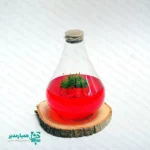 گلشیشه طاووس - Image 5