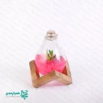 گلشیشه کهکشهان - Image 3