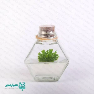 🌿 گلشیشه ترنج | تراریوم کشت بافتی ویژه نوروز 🌿 گلشیشه ترنج یکی از خاص‌ترین و منحصربه‌فردترین محصولات کیمیا هنر است؛ هدیه‌ای از جنس طبیعت 🌱 که با تلفیق علم و زیبایی، انتخابی شایسته برای عید نوروز به شمار می‌آید 🍎✨ این گلشیشه زیبا با ابعاد ۱۰ × ۸.۵ × ۴.۵ سانتی‌متر طراحی شده و برای تمامی مقاطع تحصیلی، مدارس و حتی هدیه به عزیزان، گزینه‌ای چشم‌نواز و ماندگار است 🎁 🌸 گلشیشه ترنج یک تراریوم کشت بافتی است؛ گیاهی طبیعی که در محیط کاملاً استریل آزمایشگاهی و درون ژل مغذی پرورش یافته و کاملاً بی‌نیاز از آب و خاک می‌باشد. ✅ شرایط نگهداری: قرارگیری در نور مناسب و کافی (نور مصنوعی نیز قابل قبول است) 💡 دمای مناسب: ۲۴ تا ۲۷ درجه سانتی‌گراد 🌡️ ⚠️ درب شیشه به هیچ عنوان باز نشود؛ باز شدن باعث آلودگی سریع محیط می‌شود. ✨ کیمیا هنر با گلشیشه ترنج، خاطره‌ای زیبا و ماندگار برای مدرسه و عزیزان شما می‌سازد 🌿💚