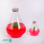 🌿 گلشیشه طاووس | اکوسیستمی کوچک، خاطره‌ای بزرگ 🌿 گلشیشه طاووس یکی از خاص‌ترین محصولات نوروزی کیمیا هنر است؛ هدیه‌ای متفاوت از جنس طبیعت که با طراحی هنرمندانه و مفهوم علمی، به انتخابی ماندگار برای هدایای پایان سال تبدیل شده است. این محصول یک اکوسیستم کوچک واقعی است؛ گیاهی طبیعی که در محیطی کاملاً استریل آزمایشگاهی و درون ژل پرورش یافته و بدون نیاز به آبیاری، برای مدت طولانی شاداب و سالم باقی می‌ماند. با ابعاد ۲۲ × ۱۵ سانتی‌متر و وزن تقریبی 550 گرم، گلشیشه طاووس جلوه‌ای چشمگیر روی میز کار، کتابخانه یا فضای آموزشی ایجاد می‌کند و هدیه‌ای شایسته برای اساتید، مراکز فرهنگی و دانش‌آموزان مقطع متوسطه اول و دوم به شمار می‌آید. شرایط نگهداری: • نور مناسب و کافی؛ نور مصنوعی نیز قابل قبول است • دمای محیط بین ۲۴ تا ۲۷ درجه سانتی‌گراد • ⚠️ درب محصول به هیچ عنوان باز نشود؛ باز شدن در باعث آلودگی سریع محیط داخلی و آسیب به گیاه می‌شود. گلشیشه طاووس، هدیه‌ای است که کیمیا هنر با آن برای مدرسه و مجموعه شما، خاطره‌ای قشنگ و ماندگار می‌سازد؛ ترکیبی از علم، هنر و طبیعت.