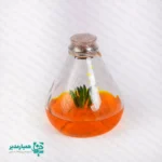 🍃 گلشیشه کلوش | هدیه‌ای علمی–هنری از دل طبیعت 🍃 اگر به دنبال هدیه‌ای متفاوت برای سال نو هستید، گلشیشه کلوش از مجموعه اختصاصی کیمیا هنر یکی از خاص‌ترین انتخاب‌هاست؛ ترکیبی دل‌نشین از زیبایی طبیعی و فناوری کشت بافت که نگاه هر مخاطبی را جذب می‌کند. این اکوسیستم کوچک شامل یک گیاه طبیعی است که در محیط کاملاً استریل آزمایشگاهی و داخل ژل پرورش یافته؛ نتیجه، یک زیست‌بوم کوچک با ماندگاری طولانی و نیاز نگهداری بسیار کم است. ابعاد محصول ۹.۵ × ۱۰ سانتی‌متر و وزن تقریبی ۳۲۰ گرم بوده و به‌راحتی روی میز کار، کتابخانه یا ویترین مدرسه شما می‌نشیند و حال‌وهوای نوروز را زنده می‌کند. راهنمای نگهداری: • نور مناسب و کافی؛ نور مصنوعی هم پذیرفته است. • دما در بازه ۲۴ تا ۲۷ درجه سانتی‌گراد نگه داشته شود. • ⚠️ درپوش را هرگز باز نکنید؛ با باز شدن در، محیط داخلی سریعاً آلوده شده و به گیاه آسیب می‌رسد. گلشیشه کلوش، هدیه‌ای فرهنگی–آموزشی است که کیمیا هنر برای ساختن یک خاطره قشنگ در مدرسه شما آماده کرده؛ هدیه‌ای که هم نگاه علمی را تقویت می‌کند و هم زیبایی طبیعی را به میز کار و کلاس درس می‌آورد.