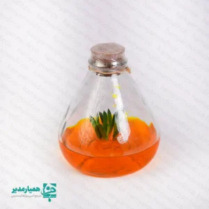 🍃 گلشیشه کلوش | هدیه‌ای علمی–هنری از دل طبیعت 🍃 اگر به دنبال هدیه‌ای متفاوت برای سال نو هستید، گلشیشه کلوش از مجموعه اختصاصی کیمیا هنر یکی از خاص‌ترین انتخاب‌هاست؛ ترکیبی دل‌نشین از زیبایی طبیعی و فناوری کشت بافت که نگاه هر مخاطبی را جذب می‌کند. این اکوسیستم کوچک شامل یک گیاه طبیعی است که در محیط کاملاً استریل آزمایشگاهی و داخل ژل پرورش یافته؛ نتیجه، یک زیست‌بوم کوچک با ماندگاری طولانی و نیاز نگهداری بسیار کم است. ابعاد محصول ۹.۵ × ۱۰ سانتی‌متر و وزن تقریبی ۳۲۰ گرم بوده و به‌راحتی روی میز کار، کتابخانه یا ویترین مدرسه شما می‌نشیند و حال‌وهوای نوروز را زنده می‌کند. راهنمای نگهداری: • نور مناسب و کافی؛ نور مصنوعی هم پذیرفته است. • دما در بازه ۲۴ تا ۲۷ درجه سانتی‌گراد نگه داشته شود. • ⚠️ درپوش را هرگز باز نکنید؛ با باز شدن در، محیط داخلی سریعاً آلوده شده و به گیاه آسیب می‌رسد. گلشیشه کلوش، هدیه‌ای فرهنگی–آموزشی است که کیمیا هنر برای ساختن یک خاطره قشنگ در مدرسه شما آماده کرده؛ هدیه‌ای که هم نگاه علمی را تقویت می‌کند و هم زیبایی طبیعی را به میز کار و کلاس درس می‌آورد.