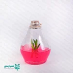 🌿 گلشیشه کهکشان |اکوسیستم کوچک بافتی ویژه نوروز 🌿 گلشیشه کهکشان، هدیه‌ای زیبا و متفاوت از جنس طبیعت است که با فناوری کشت بافت گیاهی در محیط کاملاً استریل آزمایشگاهی رشد کرده است 🌱 درون آن یک گیاه زنده درون ژل مغذی قرار دارد، نماد حیات، تازگی و امید برای سال نو 🍎✨ این اکوسیستم کوچک شیشه‌ای با ابعاد ۱۱.۵ × ۸ سانتی‌متر طراحی شده و به دلیل ظرافت خاص، مناسب هدیه دادن به دانش‌آموزان، معلمان و اساتید است 🎁 هدیه‌ای طبیعی، علمی و منحصر‌به‌فرد برای نوروز که هیچ‌گاه فراموش نخواهد شد 🌸 ✅ ویژگی‌ها و شرایط نگهداری: بی‌نیاز از آب و خاک 🍃 نگهداری در دمای ۲۴ تا ۲۷ درجه سانتی‌گراد 🌡️ قرارگیری در نور مناسب و کافی (نور مصنوعی نیز قابل قبول است) 💡 ⚠️ درپوش را به هیچ عنوان باز نکنید؛ باعث آلودگی سریع محیط است. ✨ گلشیشه کهکشان، یک هدیه‌ی علمی–هنری از کیمیا هنر است که خاطره‌ای خاص برای مدرسه یا مجموعه فرهنگی شما خواهد ساخت 🌱💫