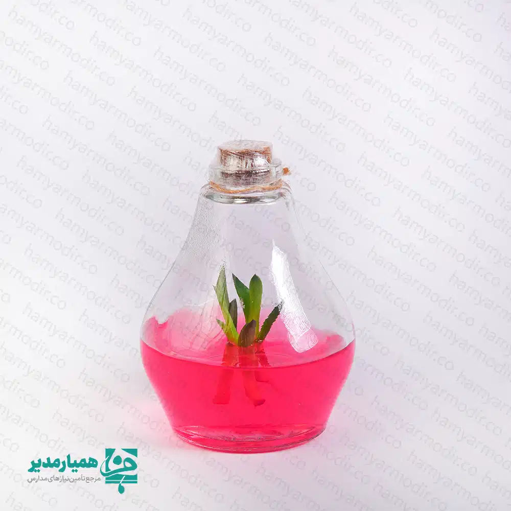 کهکشان 🌿 گلشیشه کهکشان |اکوسیستم کوچک بافتی ویژه نوروز 🌿 گلشیشه کهکشان، هدیهای زیبا و متفاوت از جنس طبیعت است که با فناوری کشت بافت گیاهی در محیط کاملاً استریل آزمایشگاهی رشد کرده است 🌱 درون آن یک گیاه زنده درون ژل مغذی قرار دارد، نماد حیات، تازگی و امید برای سال نو 🍎✨ این اکوسیستم کوچک شیشهای با ابعاد ۱۱.۵ × ۸ سانتیمتر طراحی شده و به دلیل ظرافت خاص، مناسب هدیه دادن به دانشآموزان، معلمان و اساتید است 🎁 هدیهای طبیعی، علمی و منحصربهفرد برای نوروز که هیچگاه فراموش نخواهد شد 🌸 ✅ ویژگیها و شرایط نگهداری: بینیاز از آب و خاک 🍃 نگهداری در دمای ۲۴ تا ۲۷ درجه سانتیگراد 🌡️ قرارگیری در نور مناسب و کافی (نور مصنوعی نیز قابل قبول است) 💡 ⚠️ درپوش را به هیچ عنوان باز نکنید؛ باعث آلودگی سریع محیط است. ✨ گلشیشه کهکشان، یک هدیهی علمی–هنری از کیمیا هنر است که خاطرهای خاص برای مدرسه یا مجموعه فرهنگی شما خواهد ساخت 🌱💫