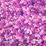 دیوار پوش گل مصنوعی طرح شمشاد - Image 3